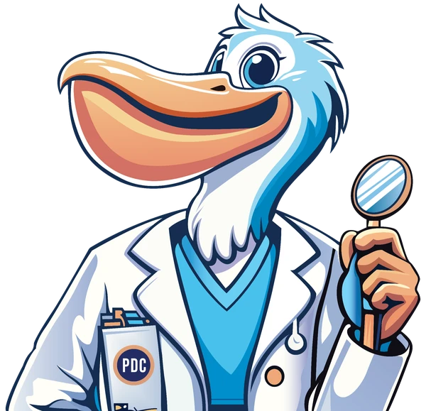 Pelican Dental Care logo officiel mascotte - Clinique dentaire de Vero Beach